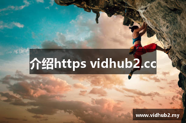 介绍https vidhub2.cc